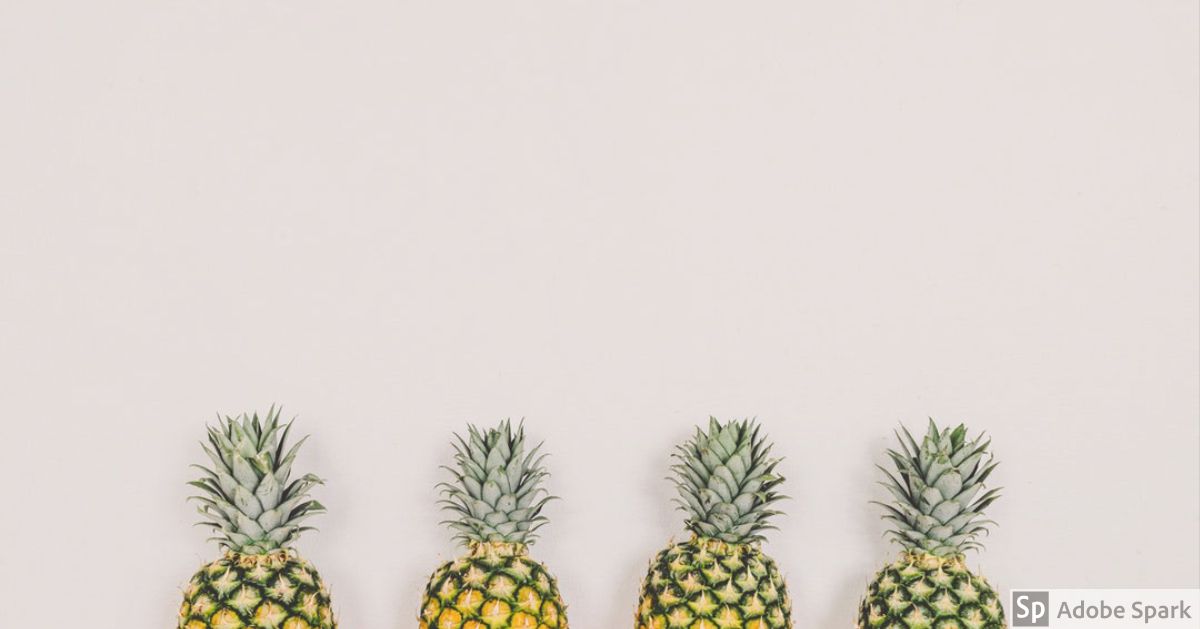 The grace of shabby hospitality