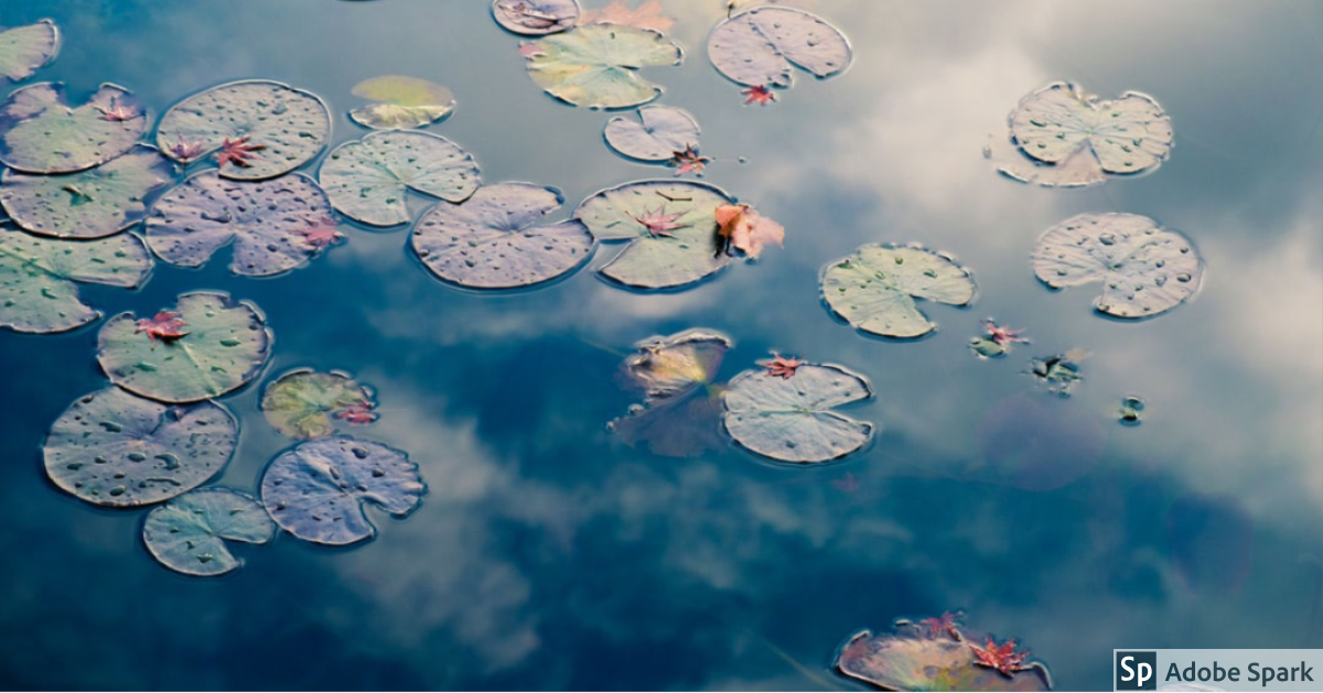 Listening without paying attention