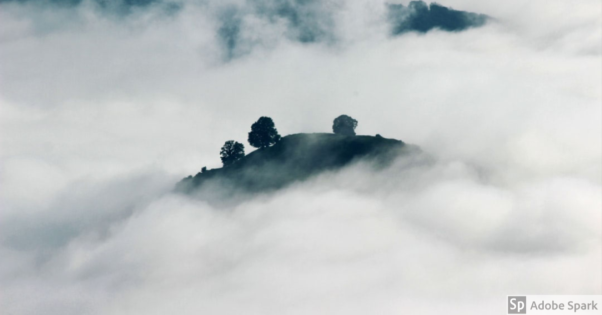in the fog