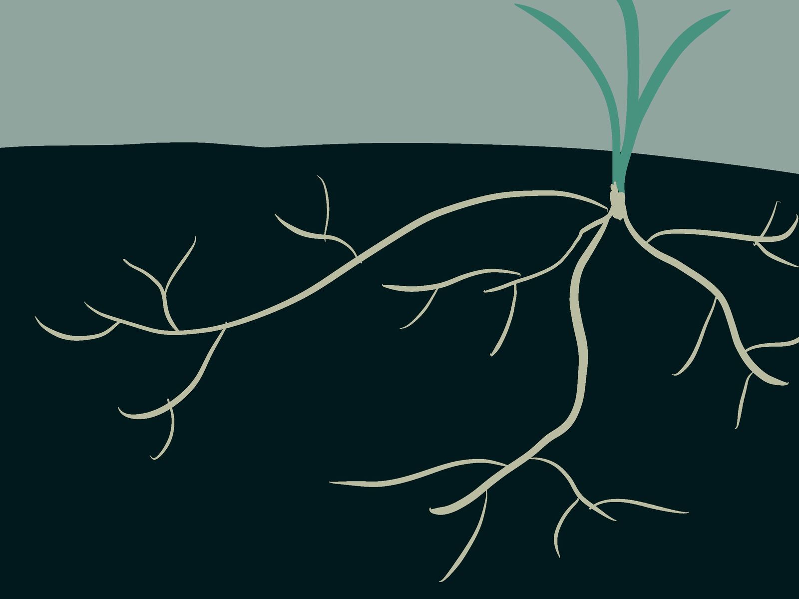 life in the bewilderness