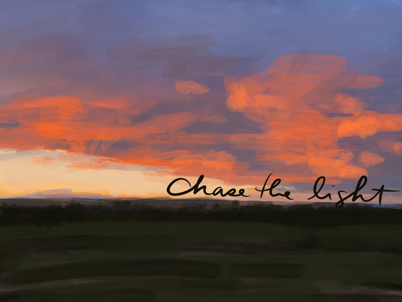 chasing the light