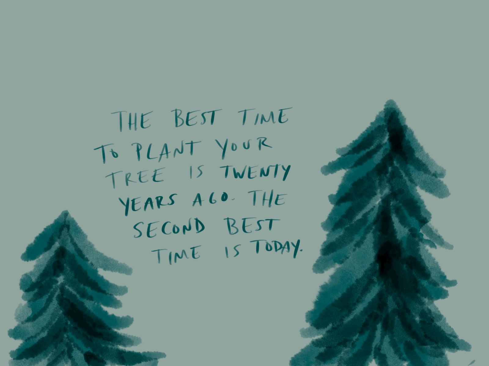 the best time to plant your tree
