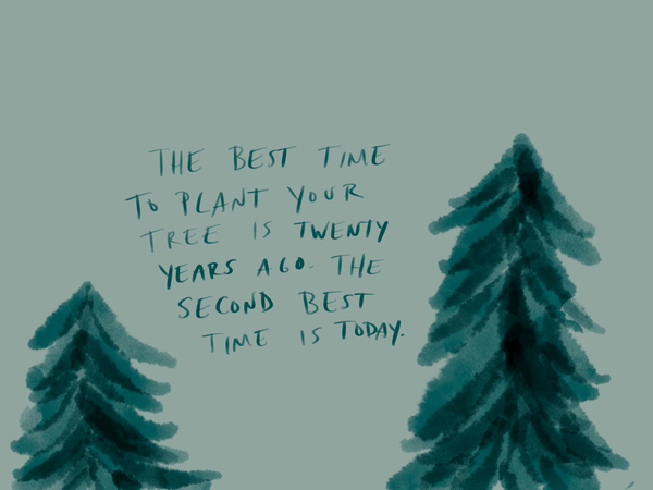 the best time to plant your tree
